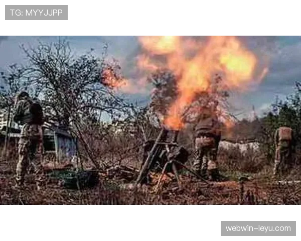 沃特金斯：顶级射手光环下的战术体系依赖分析